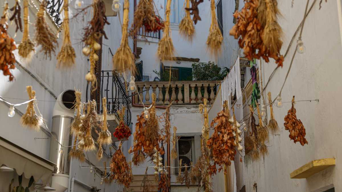 Cosa vedere nei dintorni di Gallipoli: borghi, spiagge e natura